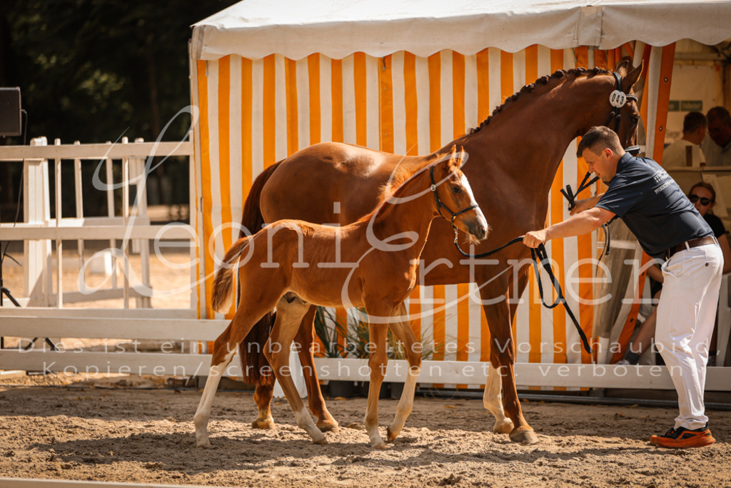 09.DoWBD00005 | Leoni Ertmer Photography - Realisiert mit Pictrs.com