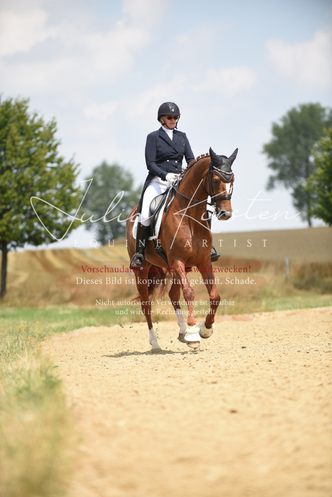DSC_4287 | Pferde- und Turnierfotografie in Westsachsen. Pferdeportraits, Auftragszeichnungen und intuitive Kunst.