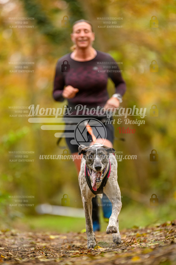 MompixPhotography_Bischwiller24_SA_Canicross-175 | PayLife