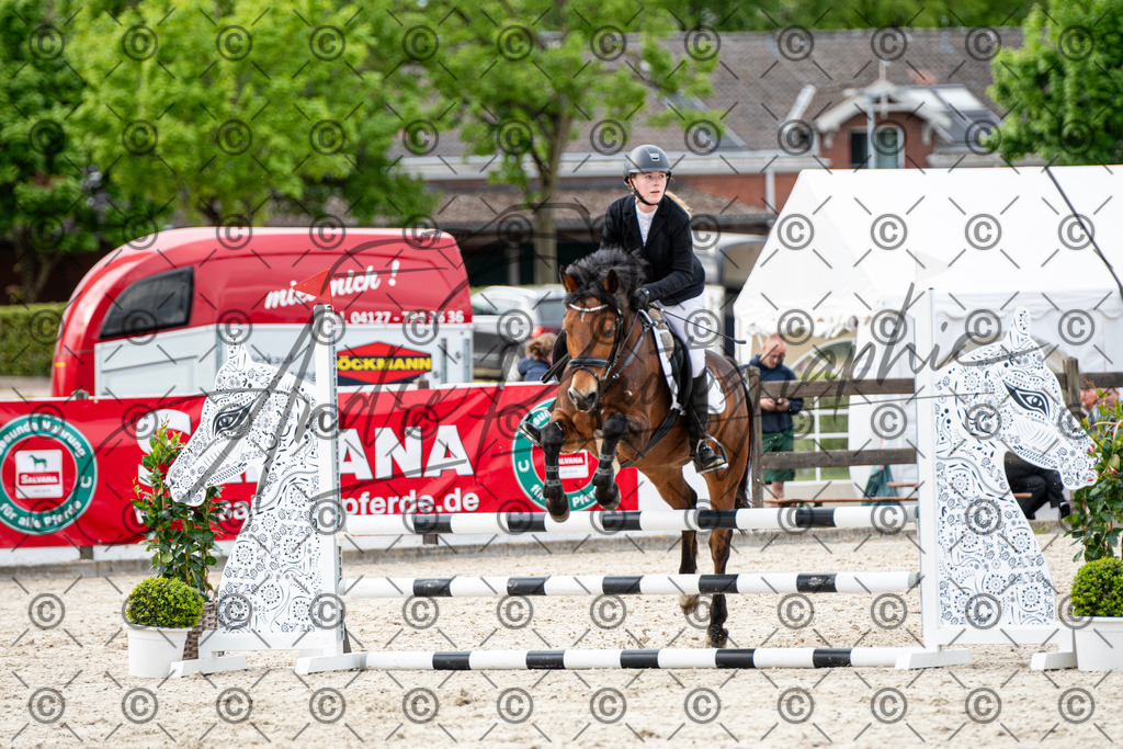 KPT_7114 | andre_photographic