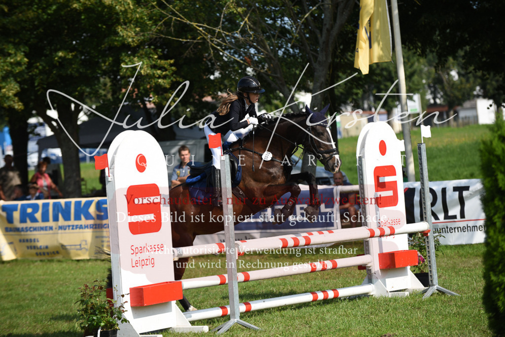 DSC_8941 | Pferde- und Turnierfotografie in Westsachsen. Pferdeportraits, Auftragszeichnungen und intuitive Kunst.