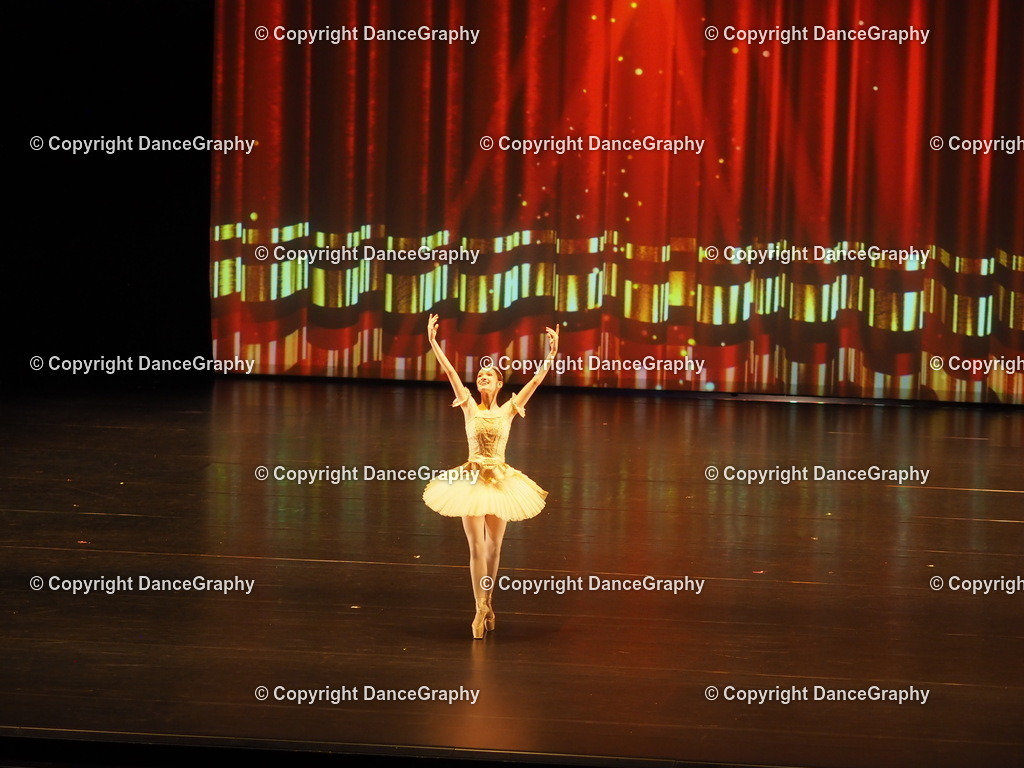 P7260424 | DanceGraphy - Realisiert mit Pictrs.com