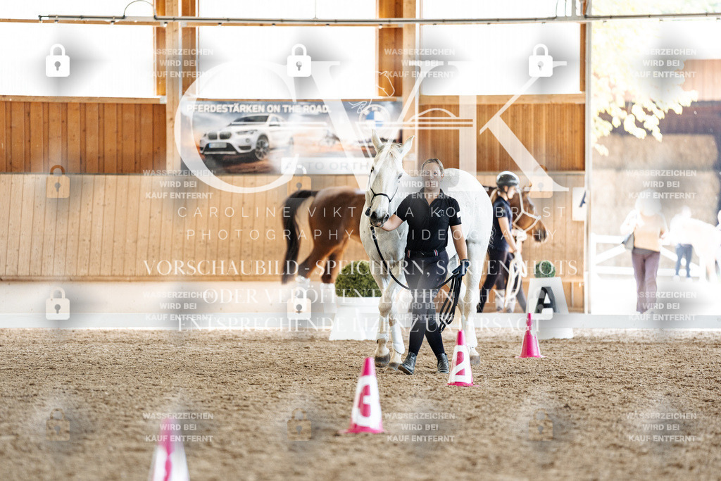 CK907738 | Turnierfotografie Pferdefotografie Trier Rheinland-Pfalz Pferdesport Reitsport Tierfotografie Sportfotografie Pferdevideo Pferdevideografie Equestrianvideography equestrianphotography  - Realisiert mit Pictrs.com