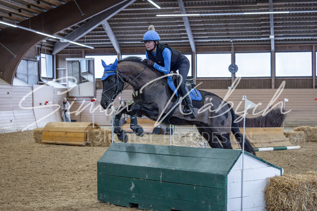 20260221-_3LI9195 | Tierfotografie Pferde, Hunde, Katzen, Haustiere.
Turnierfotografie Reitturniere, Reiten, Springreiten, Dressur in Hanau, dem Main-Kinzig-Kreis und dem Rhein-Main- Gebiet um Frankfurt