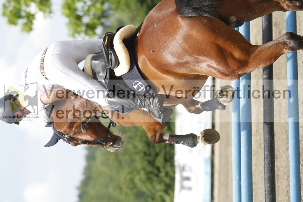 _MG_5356 | equestrian-live-com