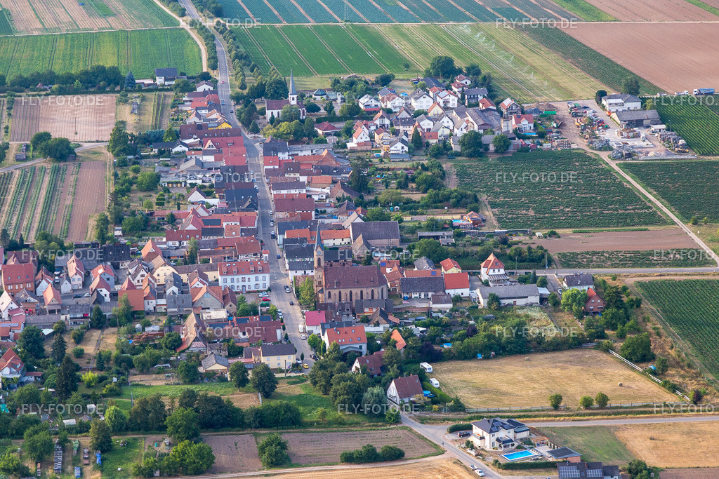 Lindenstr | Luftbild: Lindenstr im Ortsteil Niederlustadt in Lustadt im Bundesland Rheinland-Pfalz in Deutschland. Foto: IMG_109049.jpg vom 19.07.2018 durch Werner Riehm/FLY-FOTO.de - Realisiert mit Pictrs.com