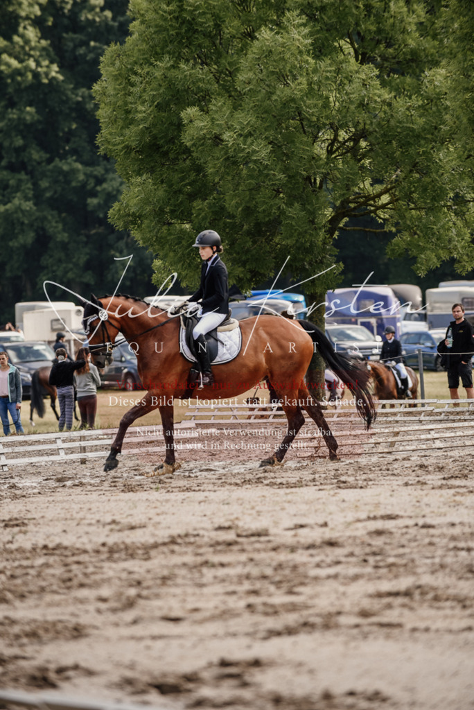 DSC_8230 | Pferde- und Turnierfotografie in Westsachsen. Pferdeportraits, Auftragszeichnungen und intuitive Kunst.