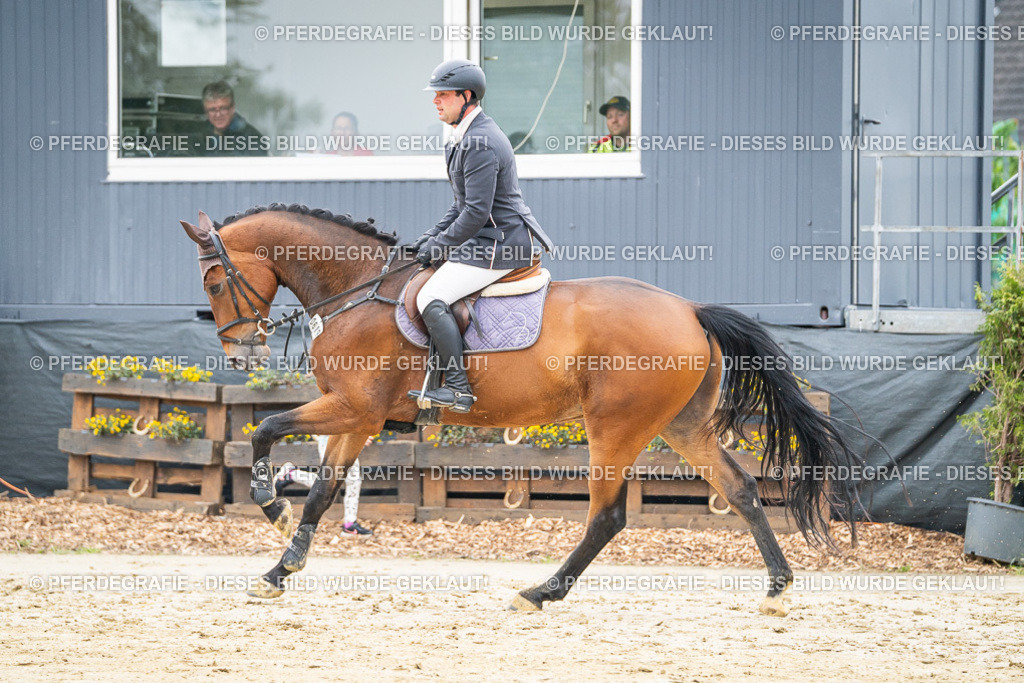 DSC00360 | Pferdegrafie