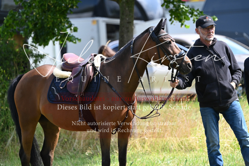 DSC_8647 | Pferde- und Turnierfotografie in Westsachsen. Pferdeportraits, Auftragszeichnungen und intuitive Kunst.
