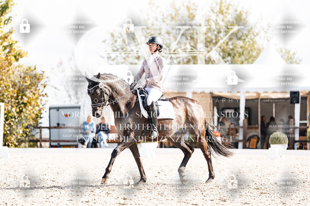 CK901928 | Turnierfotografie Pferdefotografie Trier Rheinland-Pfalz Pferdesport Reitsport Tierfotografie Sportfotografie Pferdevideo Pferdevideografie Equestrianvideography equestrianphotography  - Realisiert mit Pictrs.com