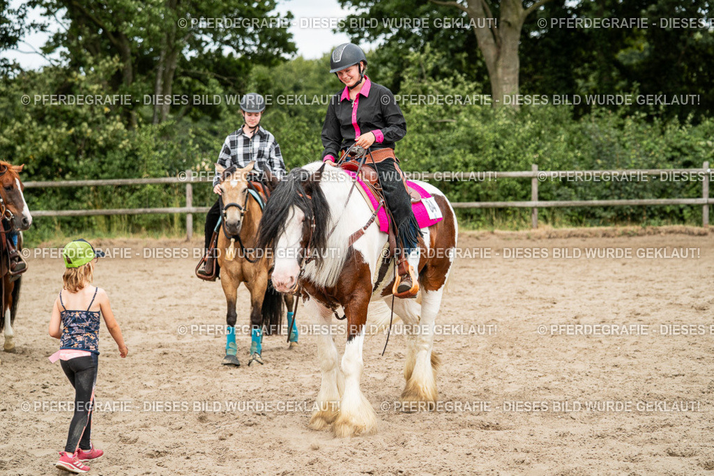 DSC04021 | Pferdegrafie