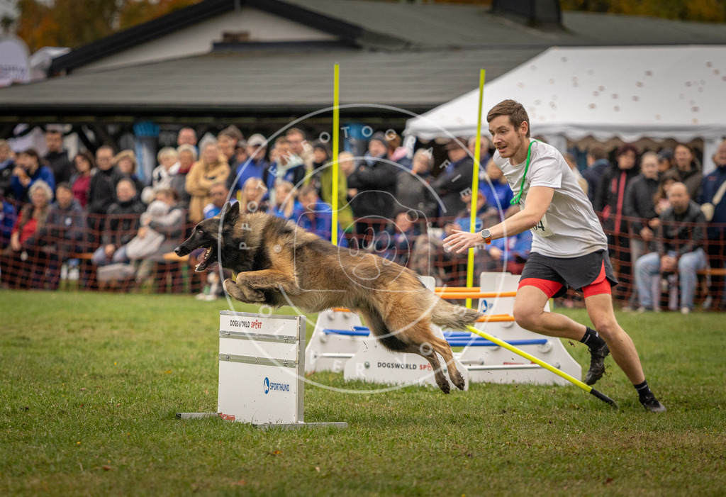 Pfotenfotografie_DV3A7388 | Hundefotografie, Tierfotograf, Pfotenfotografie, Fotoshooting Hund, Hunde Portrait, Hundesport, Hundeportraits, Heideshooting, Hunde, Sportfotograf, Hundefotograf, Turnierhundsport, THS,  - Realisiert mit Pictrs.com