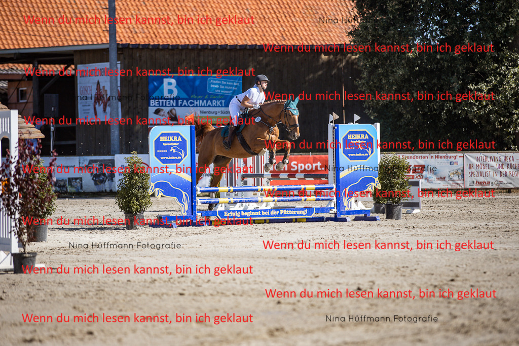 BK1A7984 | Turnierbilder Turnierfotos Nina Hüffmann Turnierfotografie Pferdefotografie Tierzeichnung Haustierzeichnung Pferdezeichnung Hundezeichnung Videograf  - Realisiert mit Pictrs.com