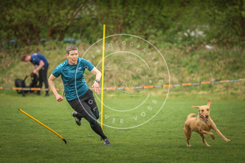 Pfotenfotografie_0L8A0529 | Hundefotografie, Tierfotograf, Pfotenfotografie, Fotoshooting Hund, Hunde Portrait, Hundesport, Hundeportraits, Heideshooting, Hunde, Sportfotograf, Hundefotograf, Turnierhundsport, THS,  - Realisiert mit Pictrs.com