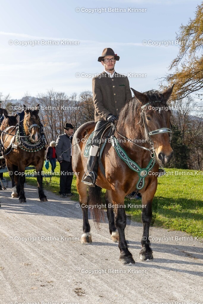 LBT24-1402 | foto-bettina-krinner - Realisiert mit Pictrs.com