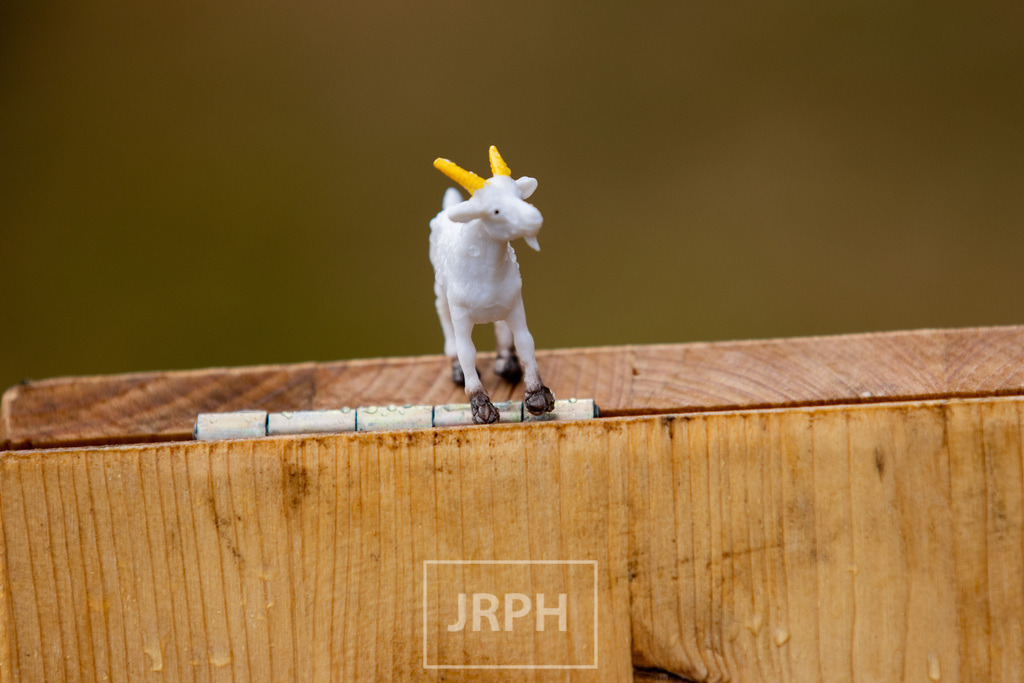 MPS Bückerburg 02.08.2025-164 | jrph - Realisiert mit Pictrs.com