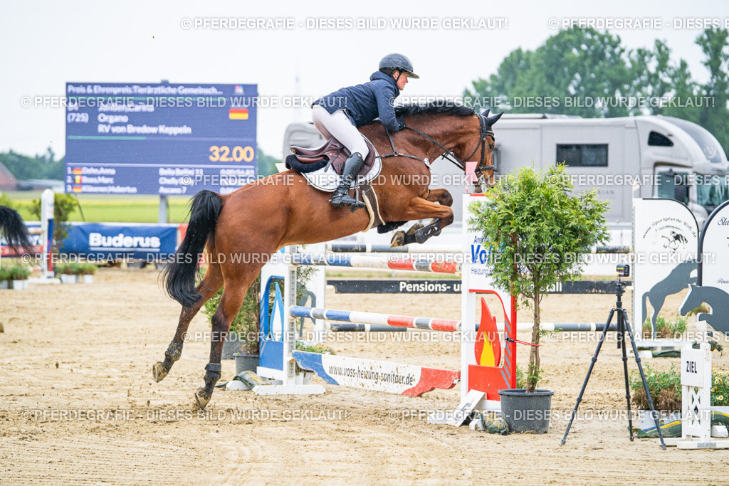 DSC09297 | Pferdegrafie