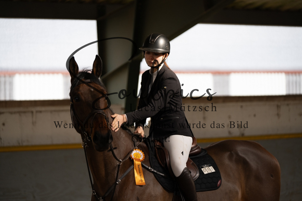 A7V03755 | Pferdefotograf