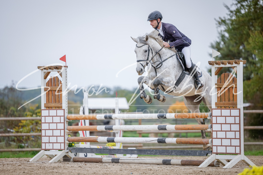 20251012-_3LI3747 | Tierfotografie Pferde, Hunde, Katzen, Haustiere.
Turnierfotografie Reitturniere, Reiten, Springreiten, Dressur in Hanau, dem Main-Kinzig-Kreis und dem Rhein-Main- Gebiet um Frankfurt