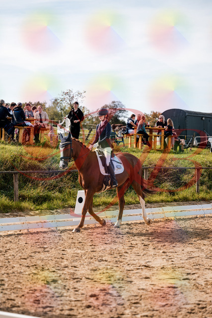 2026_10_03_Siefer-Hof_132823_Z63_88971343 | Professionelle Reitsport-, Turnier- und Eventfotografie von Robert Broda. Galerien mit ausgewählten und bearbeiteten Bildern direkt online ansehen und bestellen.