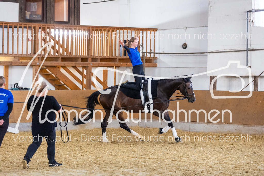 VTD-Voltigierpferde-045 | MomenTaufnahmen Pferdesportfotos