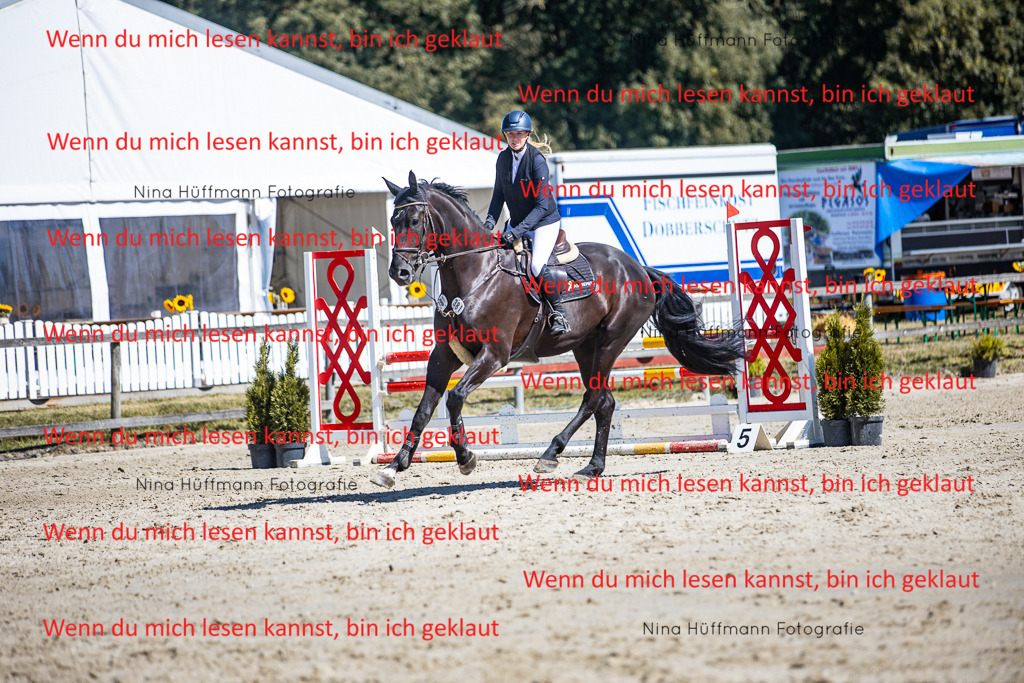 BK1A5584 | Turnierbilder Turnierfotos Nina Hüffmann Turnierfotografie Pferdefotografie Tierzeichnung Haustierzeichnung Pferdezeichnung Hundezeichnung Videograf  - Realisiert mit Pictrs.com