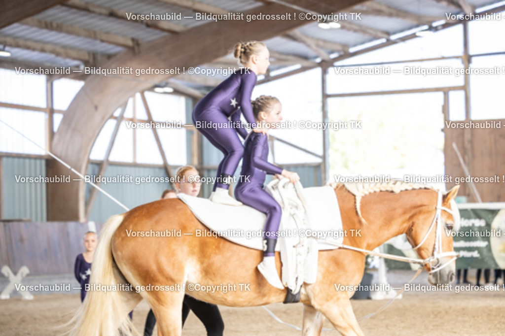 _D5A6797 | Emotionale Pferde- & People-Fotografie rund um Heidelberg, Leimen & Umgebung. Natürliche Fotos von Pferd, Mensch & Familie. Jetzt Termin sichern!