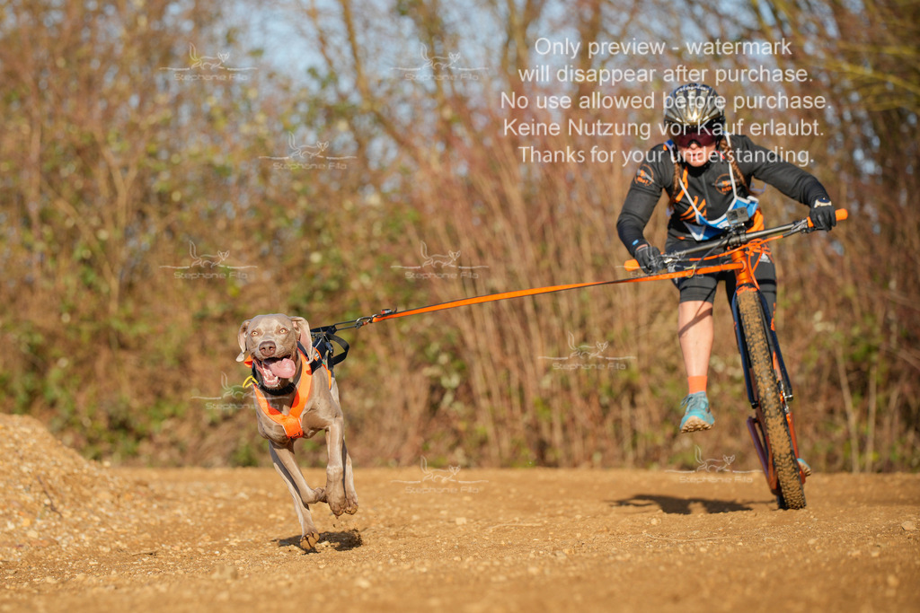 So_DVGBSP2025_Scooter (49 von 286) | stephaniefillaphotographie - Realisiert mit Pictrs.com