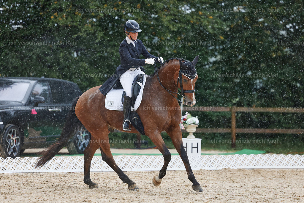 8_2-149-DRESSUR S_  -StoibPH-4481 | working equitationturnier fotograf videograf stoibphotography marixx film working equitation deutschland reitsport turnierfotografie eventfotografie equestrian events