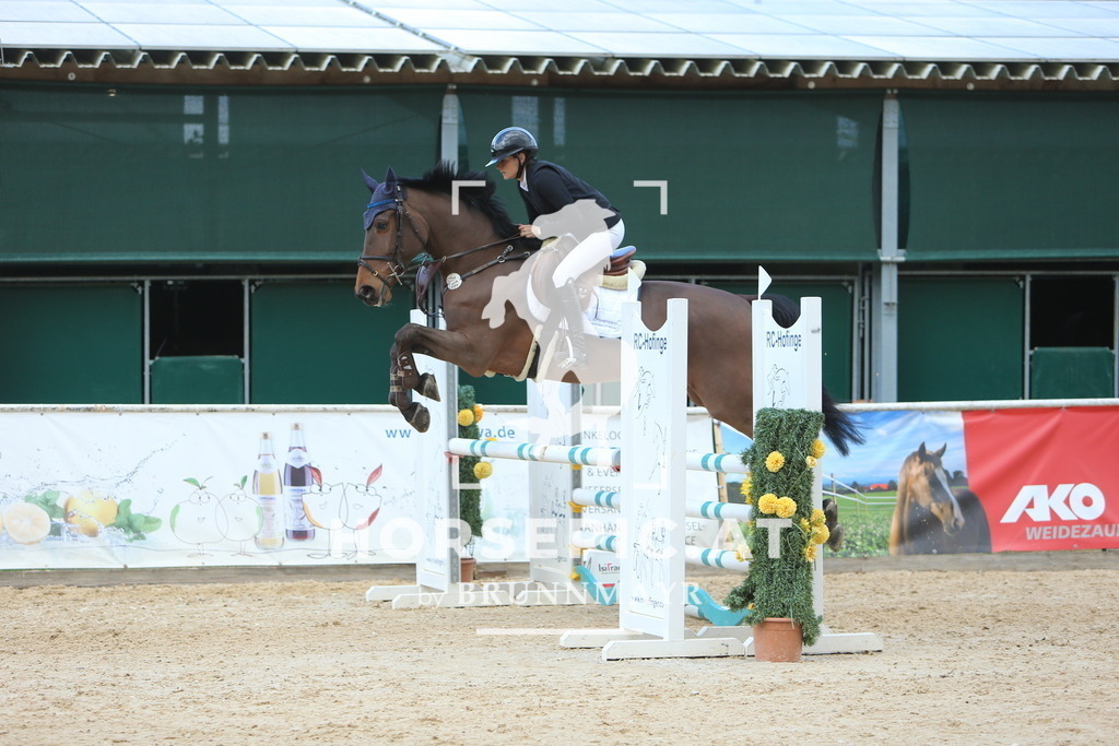 DL2Q9648 | Willkommen bei Brunnmayr - Design & Fotografie – Ihrem Spezialisten für Reitturniere und Pferdeveranstaltungen in Oberösterreich, Salzburg und Bayern! Seit über 17 Jahren sind wir leidenschaftlich dabei.