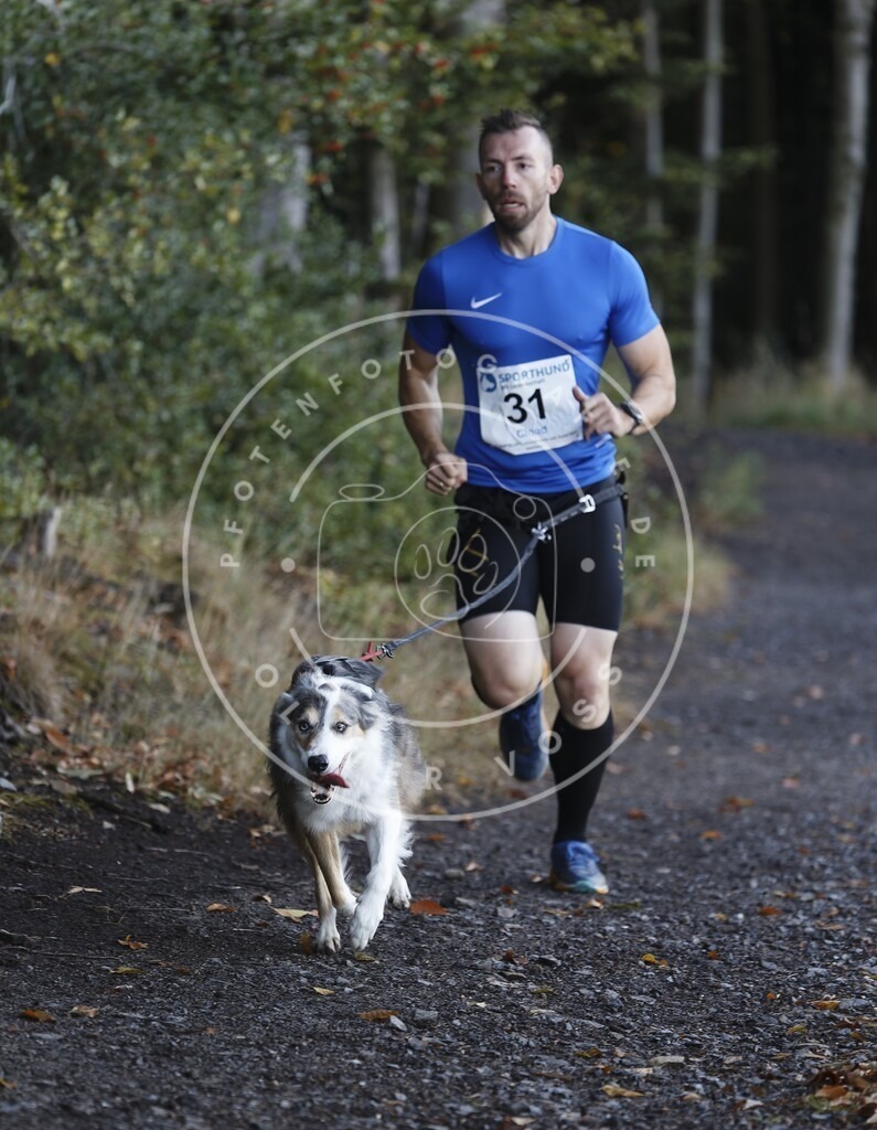 0L8A1565 | Hundefotografie, Tierfotograf, Pfotenfotografie, Fotoshooting Hund, Hunde Portrait, Hundesport, Hundeportraits, Heideshooting, Hunde, Sportfotograf, Hundefotograf, Turnierhundsport, THS,  - Realisiert mit Pictrs.com
