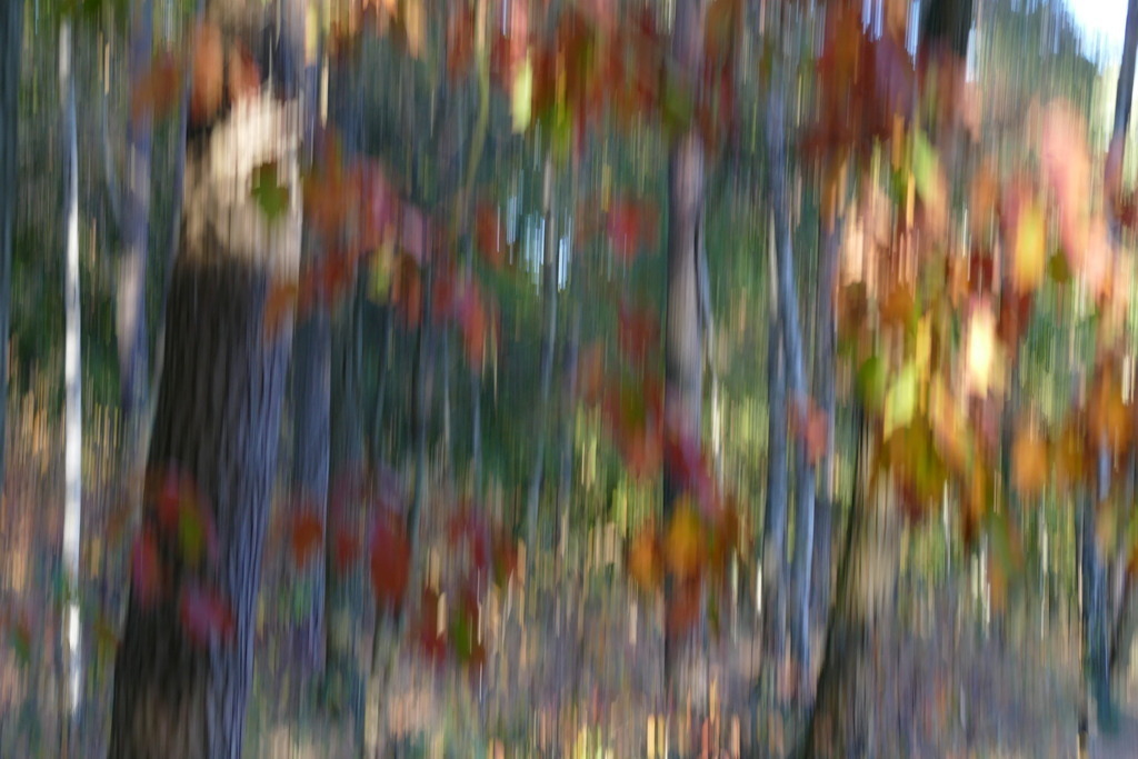 P4060233 | Annaeherungen - Realisiert mit Pictrs.com