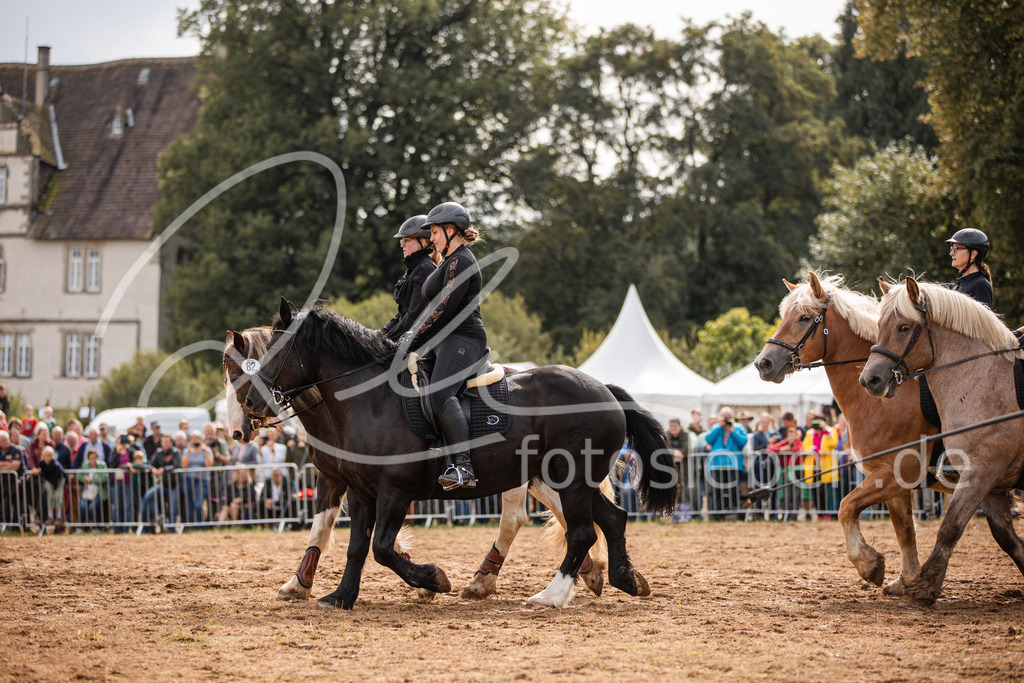 846A3978 | fotosleben - Realisiert mit Pictrs.com