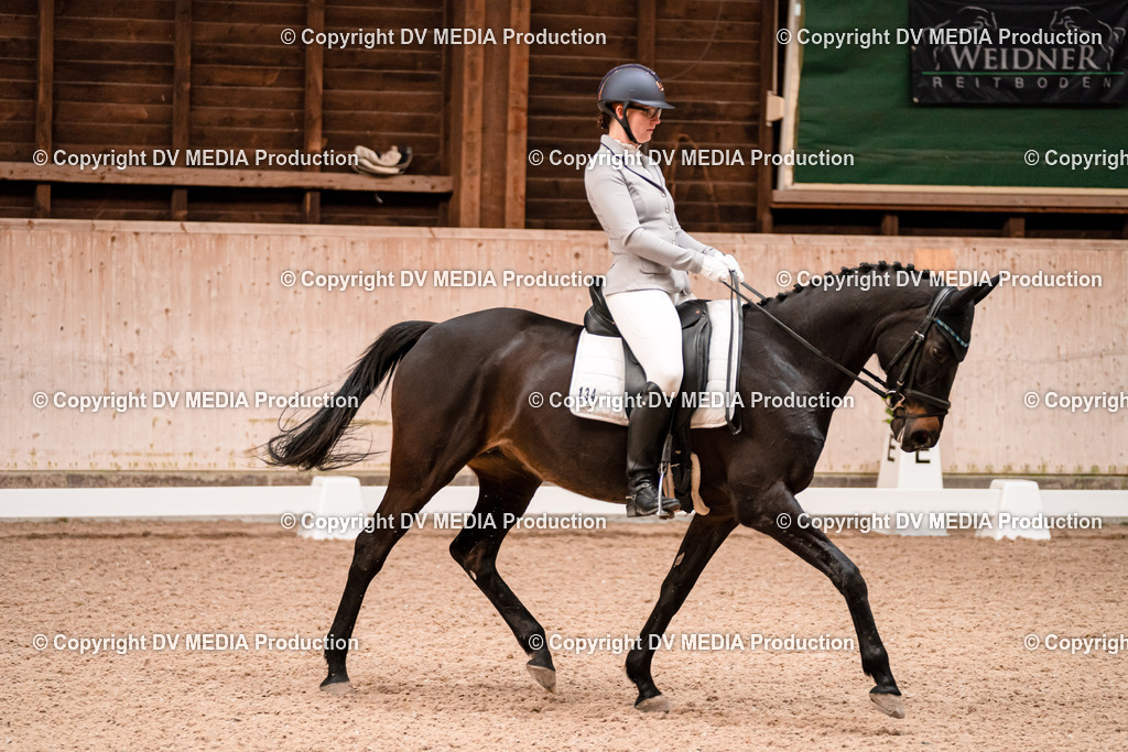Dressur Tag 2-138 | dv-media-shop - Realisiert mit Pictrs.com