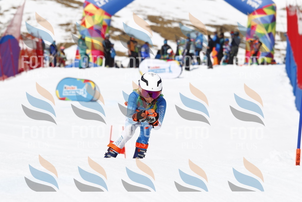 _U3G8175 | holidayphoto