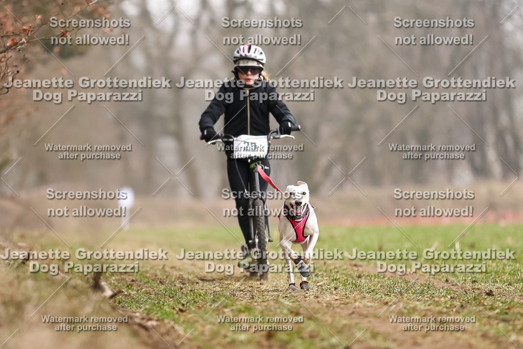 Dog Paparazzi - Plate 2026-85 | Dog Paparazzi Jeanette Grottendiek Fotografie & Videografie - Realisiert mit Pictrs.com