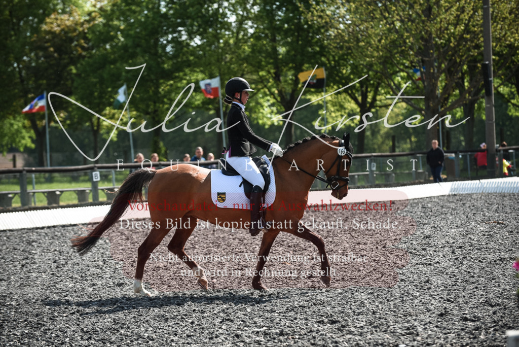 DSC_8995 | Pferde- und Turnierfotografie in Westsachsen. Pferdeportraits, Auftragszeichnungen und intuitive Kunst.