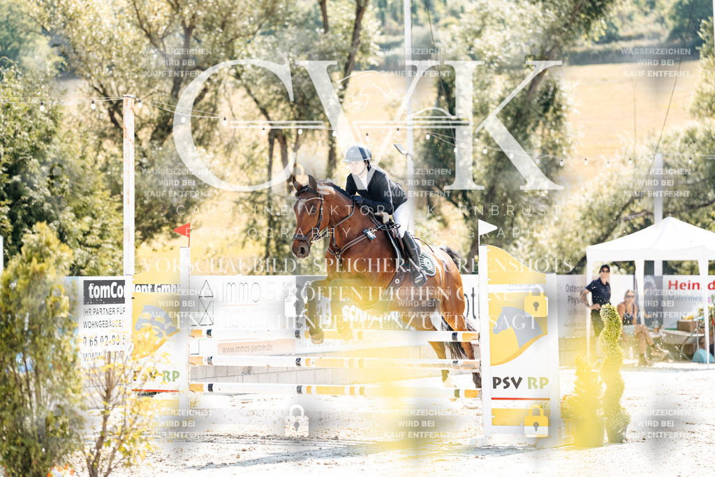 CK908735 | Turnierfotografie Pferdefotografie Trier Rheinland-Pfalz Pferdesport Reitsport Tierfotografie Sportfotografie Pferdevideo Pferdevideografie Equestrianvideography equestrianphotography  - Realisiert mit Pictrs.com
