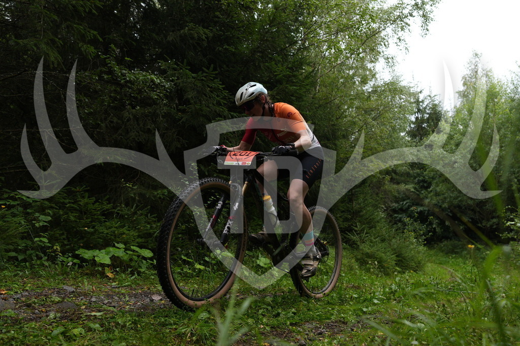 A6703368 | Fotogalerie der Treibjagd im Dunkelwald - Dein MTB Etappenrennen im Erzgebirge - Realisiert mit Pictrs.com