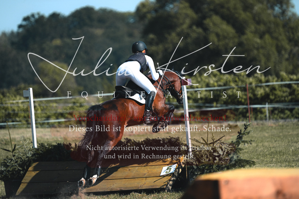 DSC_8282 | Pferde- und Turnierfotografie in Westsachsen. Pferdeportraits, Auftragszeichnungen und intuitive Kunst.