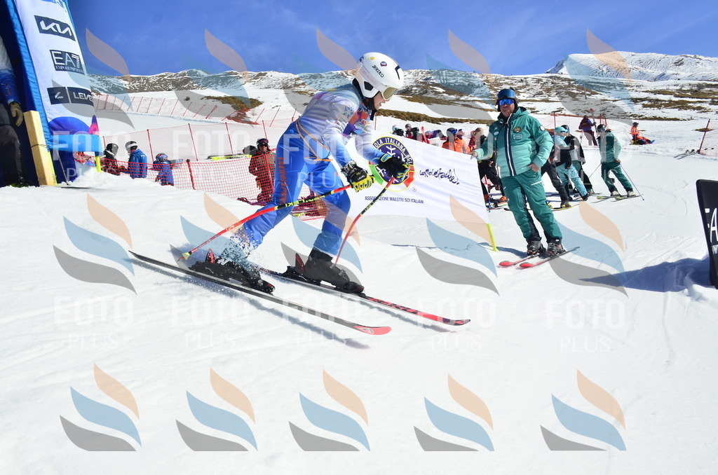 _ELE9686 | holidayphoto