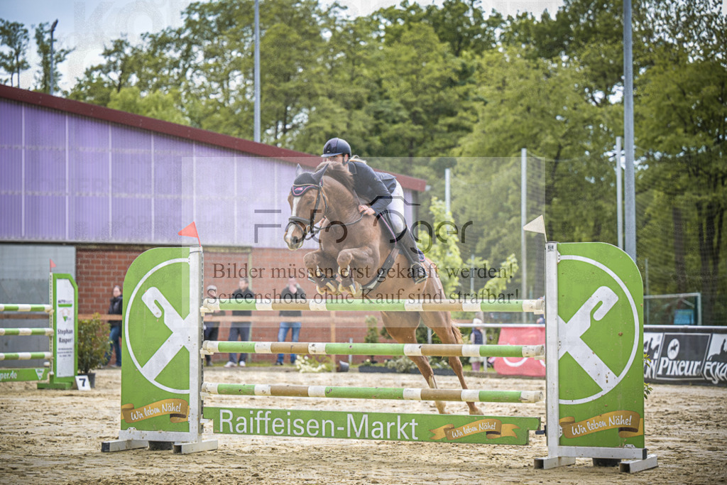 DOS_1811 | Entdecke hochwertige Reitturnierfotos von Foto Oger. Professionell, emotional und authentisch – jetzt Lieblingsmomente im Shop bestellen.Deutschlandweite Turnierfotografie. - Realisiert mit Pictrs.com