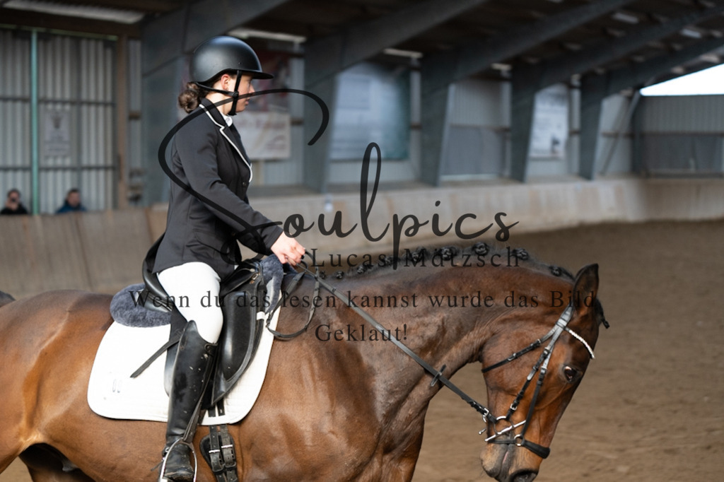 A7V04758 | Pferdefotograf