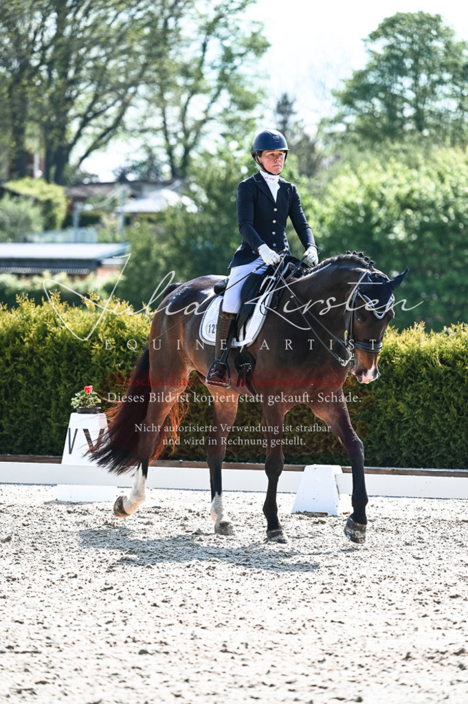 20230514_JK-Röhrsdorf-18-524 | Pferde- und Turnierfotografie in Westsachsen. Pferdeportraits, Auftragszeichnungen und intuitive Kunst.