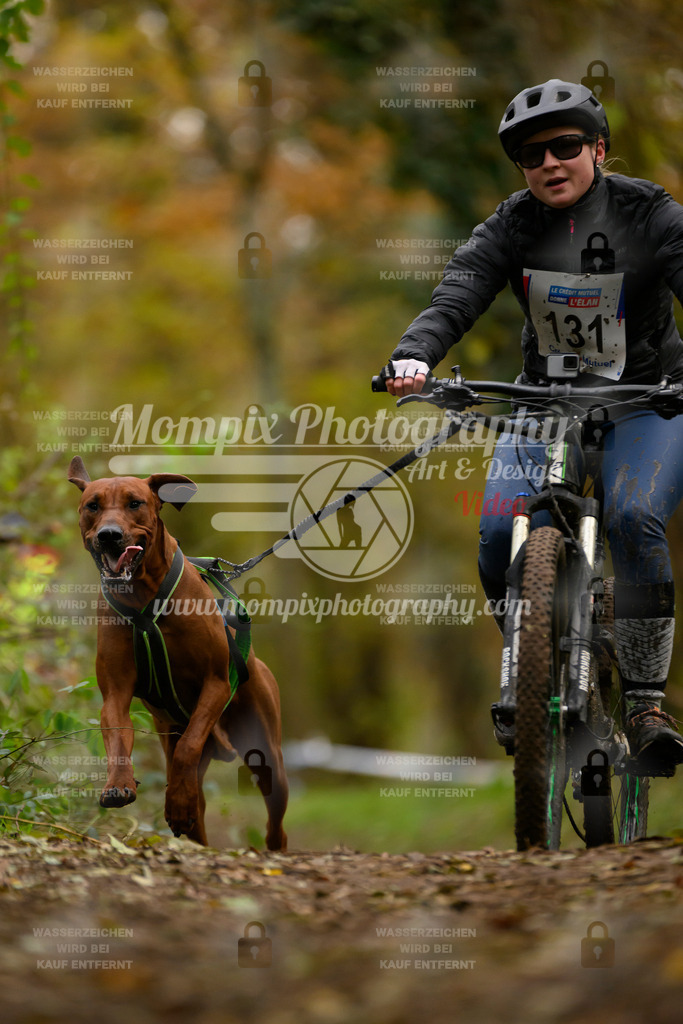 MompixPhotography_Bischwiller24_SA_VTT-63 | PayLife