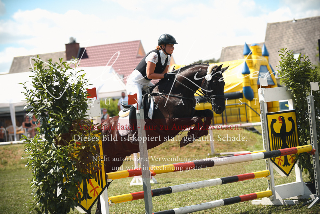 DSC_6641 | Pferde- und Turnierfotografie in Westsachsen. Pferdeportraits, Auftragszeichnungen und intuitive Kunst.