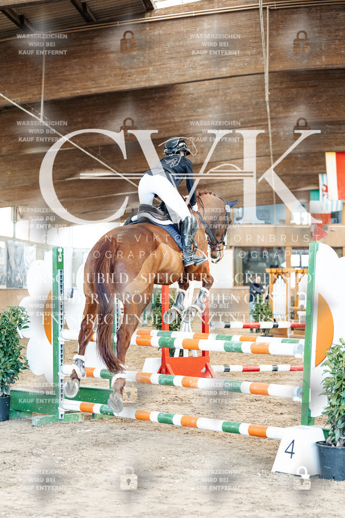 CK905013 | Turnierfotografie Pferdefotografie Trier Rheinland-Pfalz Pferdesport Reitsport Tierfotografie Sportfotografie Pferdevideo Pferdevideografie Equestrianvideography equestrianphotography  - Realisiert mit Pictrs.com