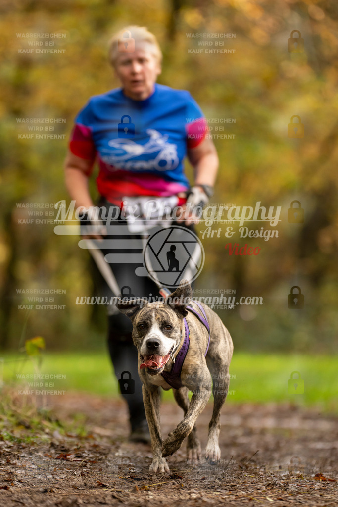 MompixPhotography_Bischwiller23_Canicross-144 | PayLife