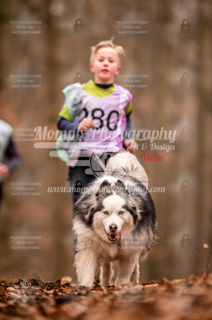 AKM_ST_2023_Son_Run-94 | mompixphotography