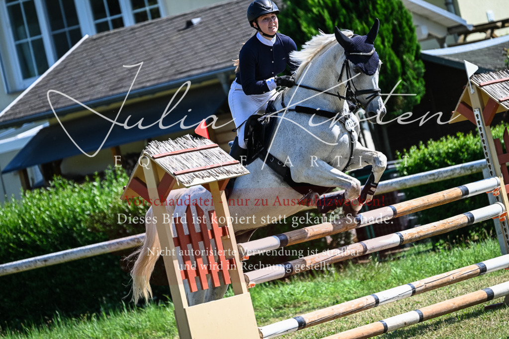 DSC_1410 | Pferde- und Turnierfotografie in Westsachsen. Pferdeportraits, Auftragszeichnungen und intuitive Kunst.
